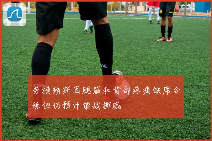 劳模赖斯因腿筋和背部疼痛缺席合练但仍预计能战挪威