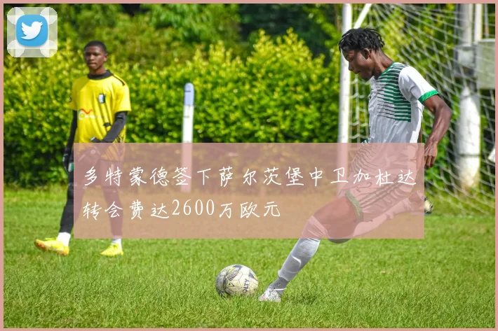 多特蒙德签下萨尔茨堡中卫加杜达转会费达2600万欧元